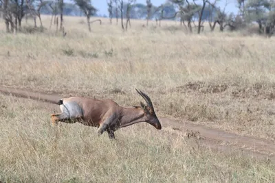 DSC_3679 (Large).JPG